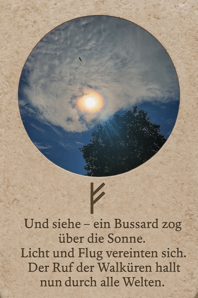 Bussard über der Sonne