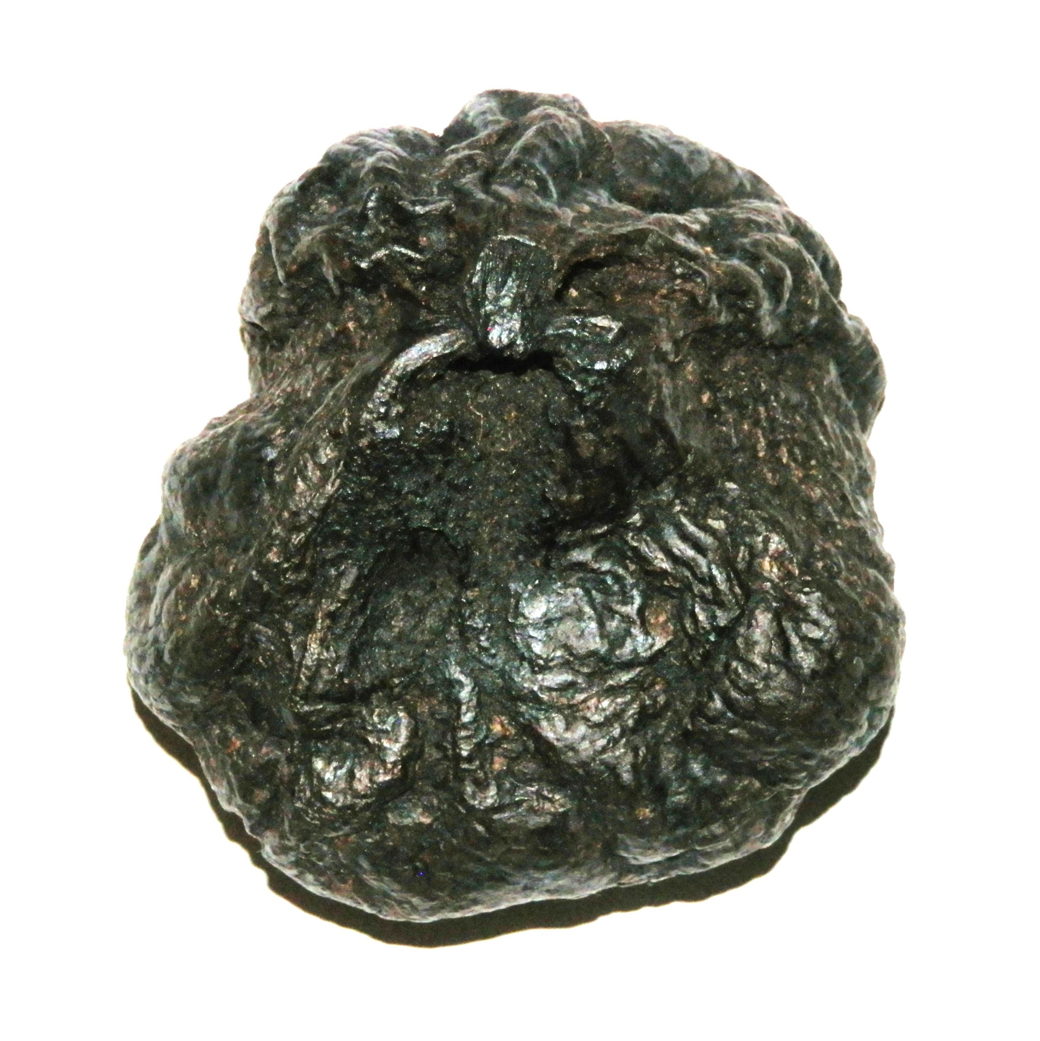 Originalfoto der High John Wurzel mit bärtigem Gesicht