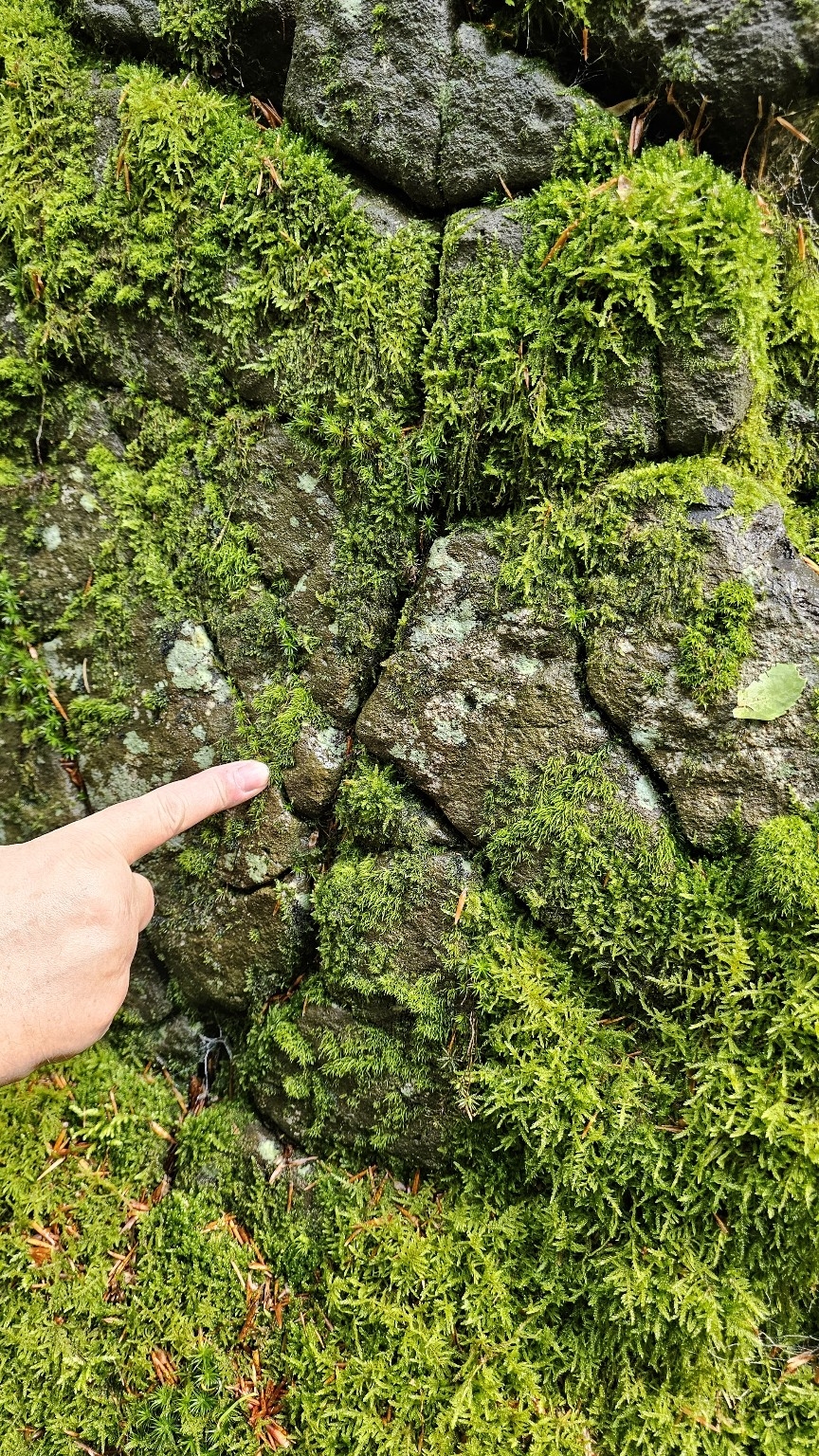 Felsenriss mit Runenstruktur 1