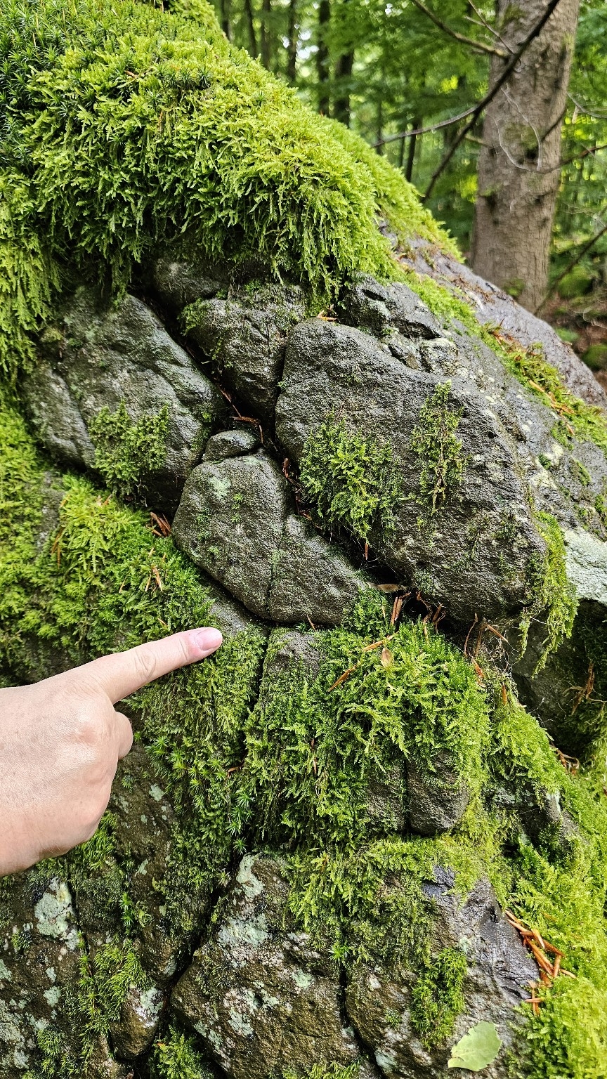 Felsenriss mit Runenstruktur 2